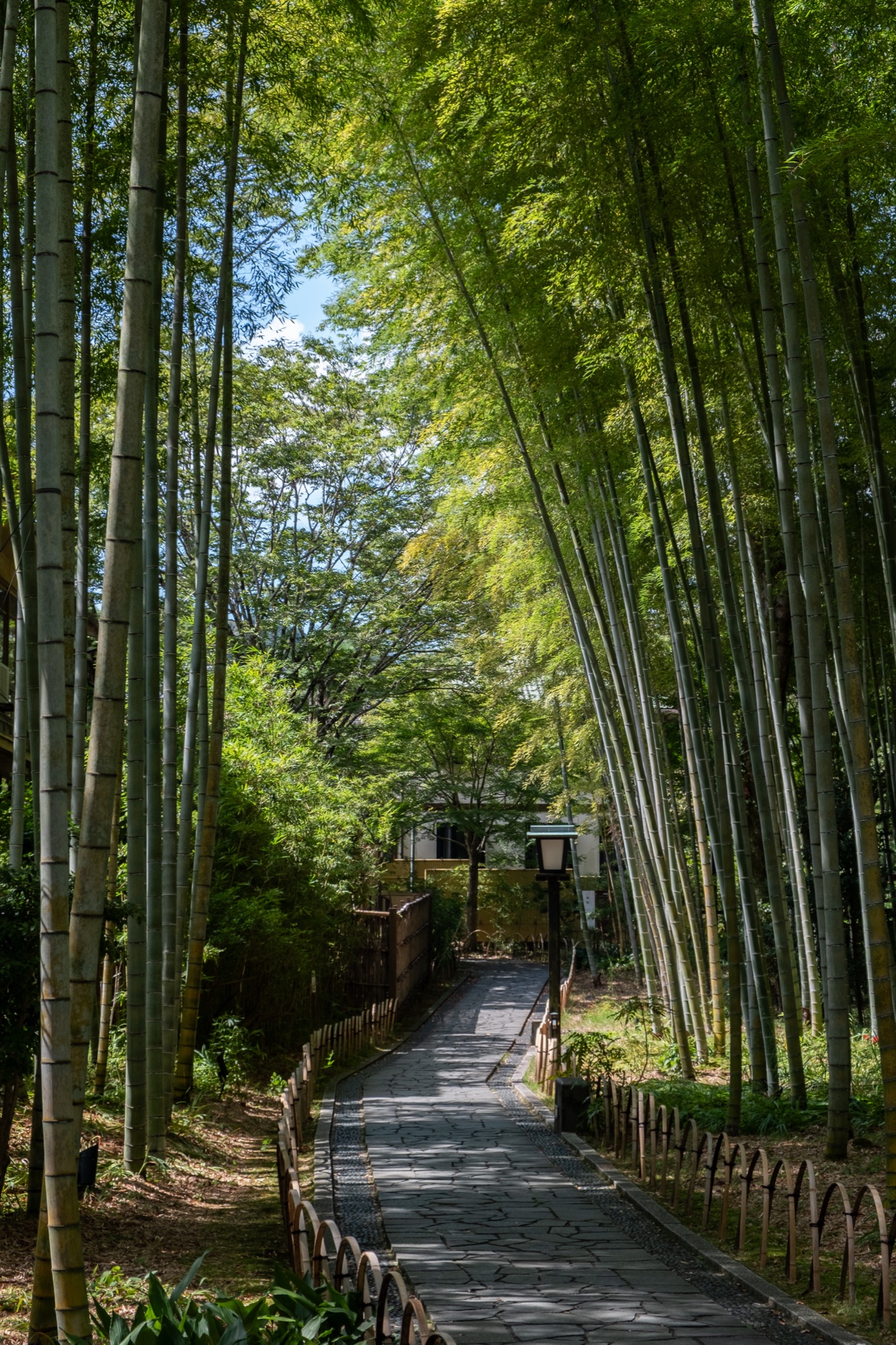 Kyoto