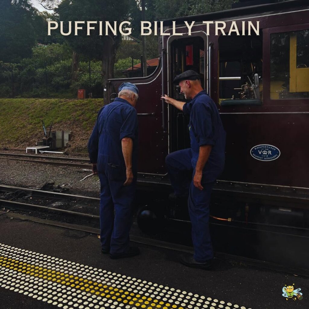 Puffing Billy Railway🚂