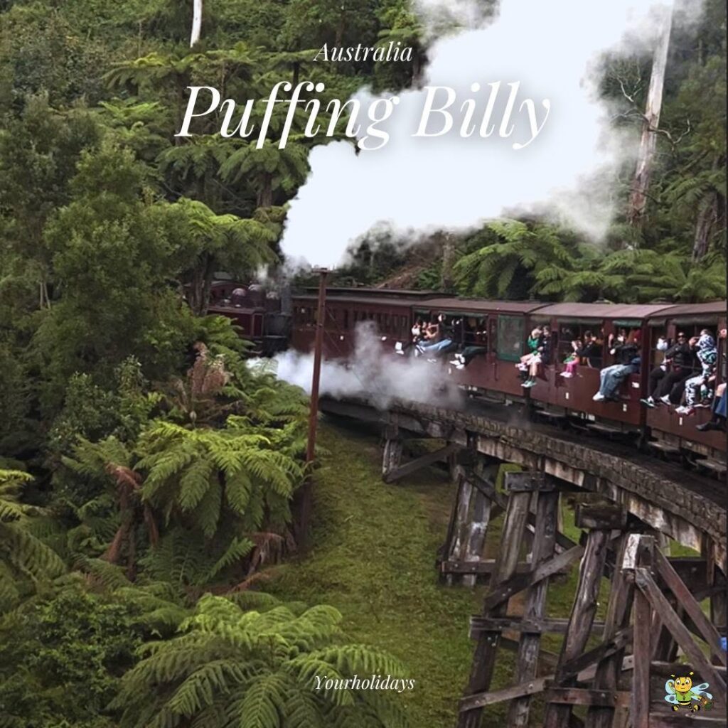 Puffing Billy Railway🚂