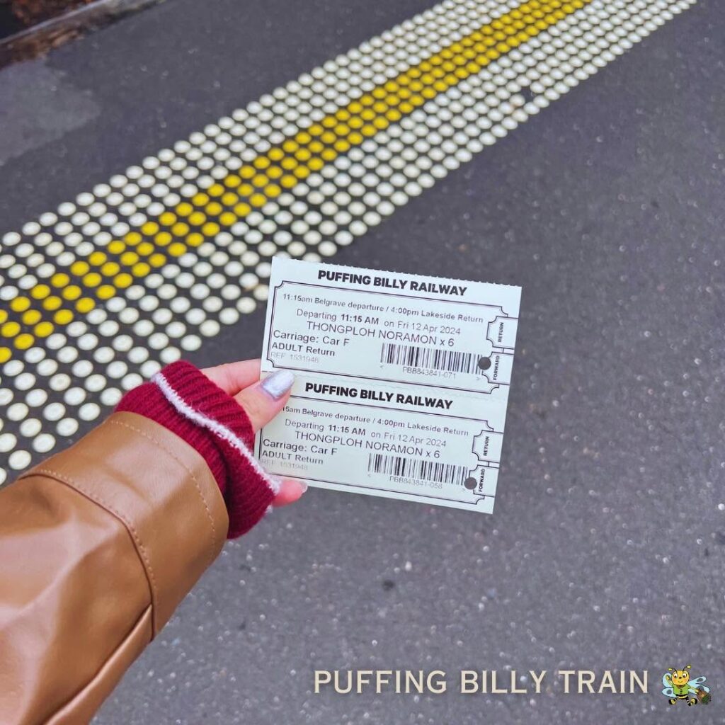 Puffing Billy Railway🚂