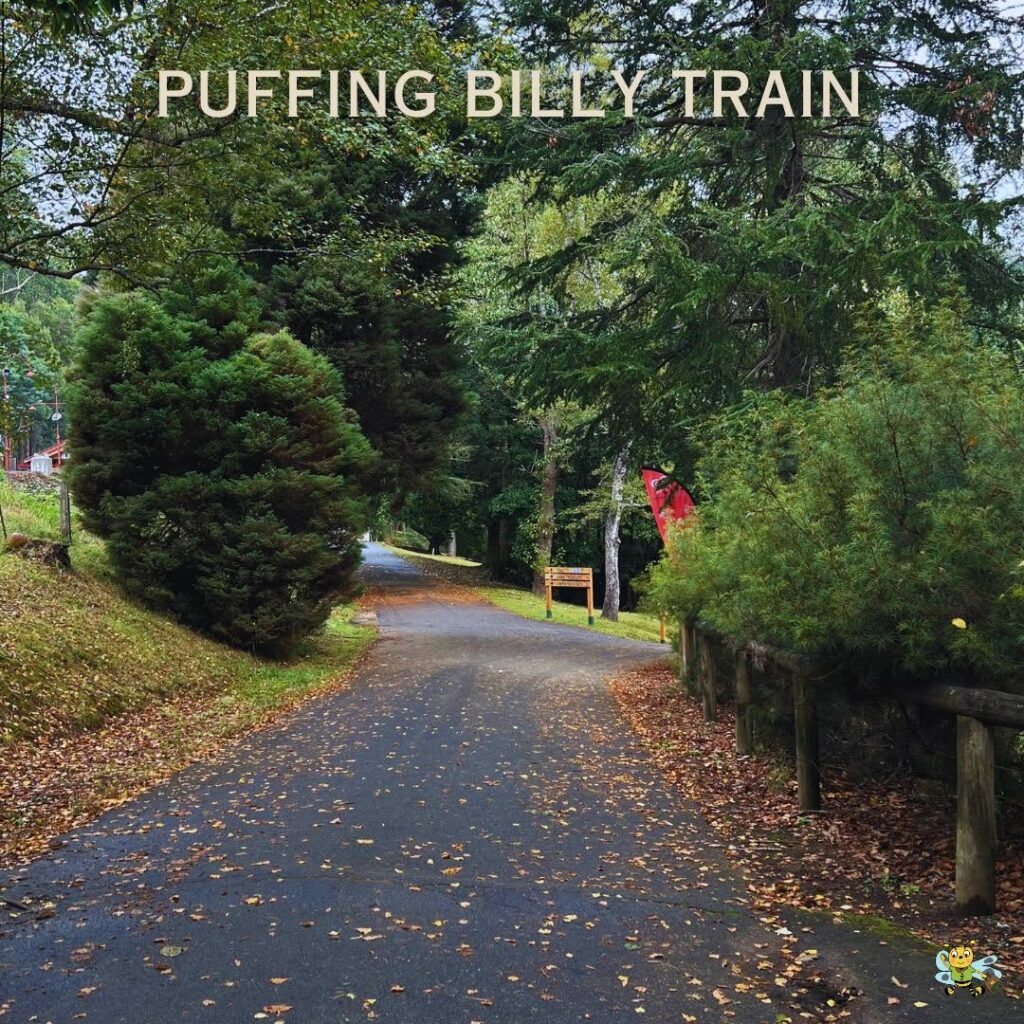 Puffing Billy Railway🚂
