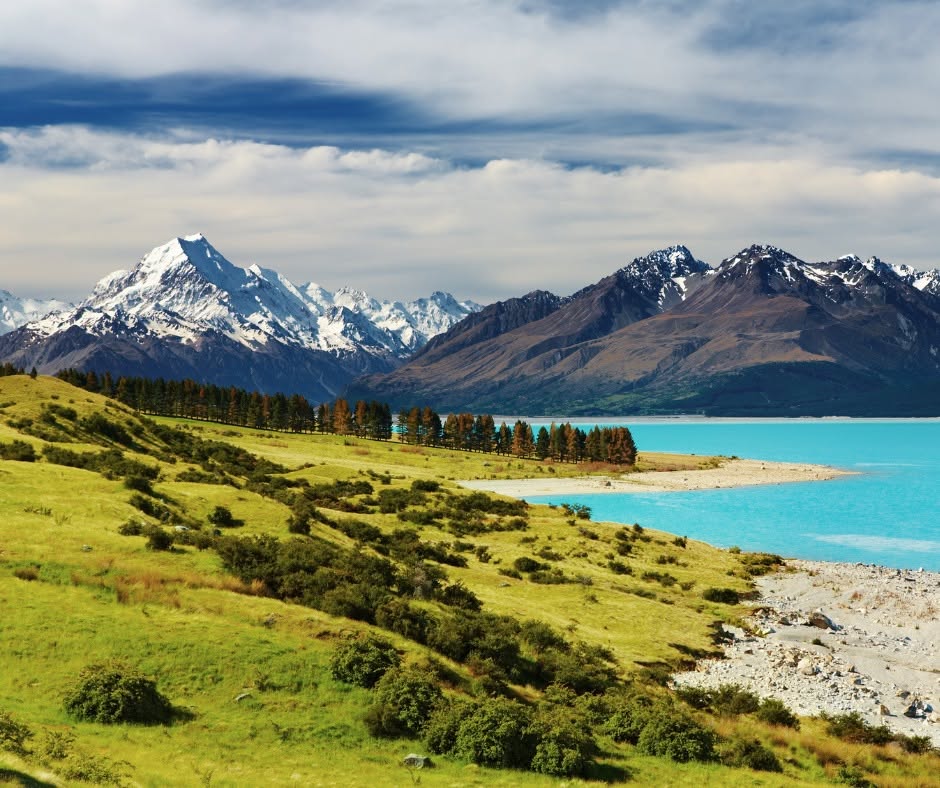 🐑 New Zealand: Land of The Sheep