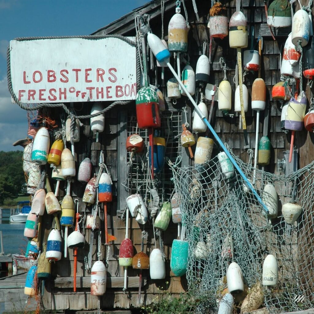 🦞 LOBSTER LAND