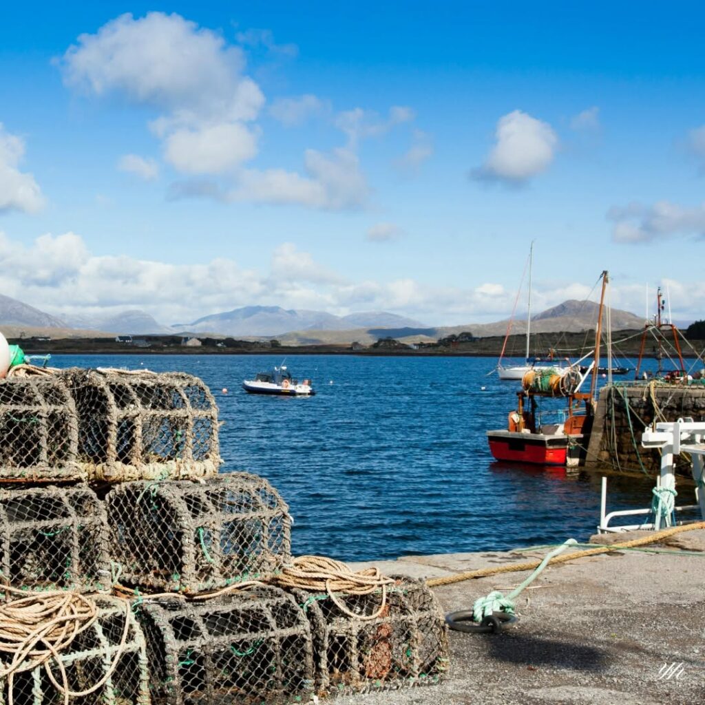🦞 LOBSTER LAND