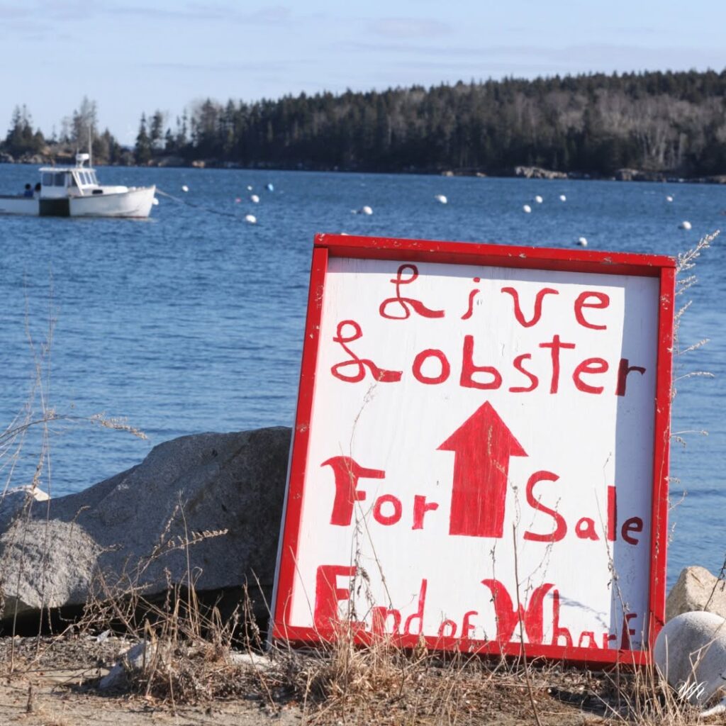 🦞 LOBSTER LAND