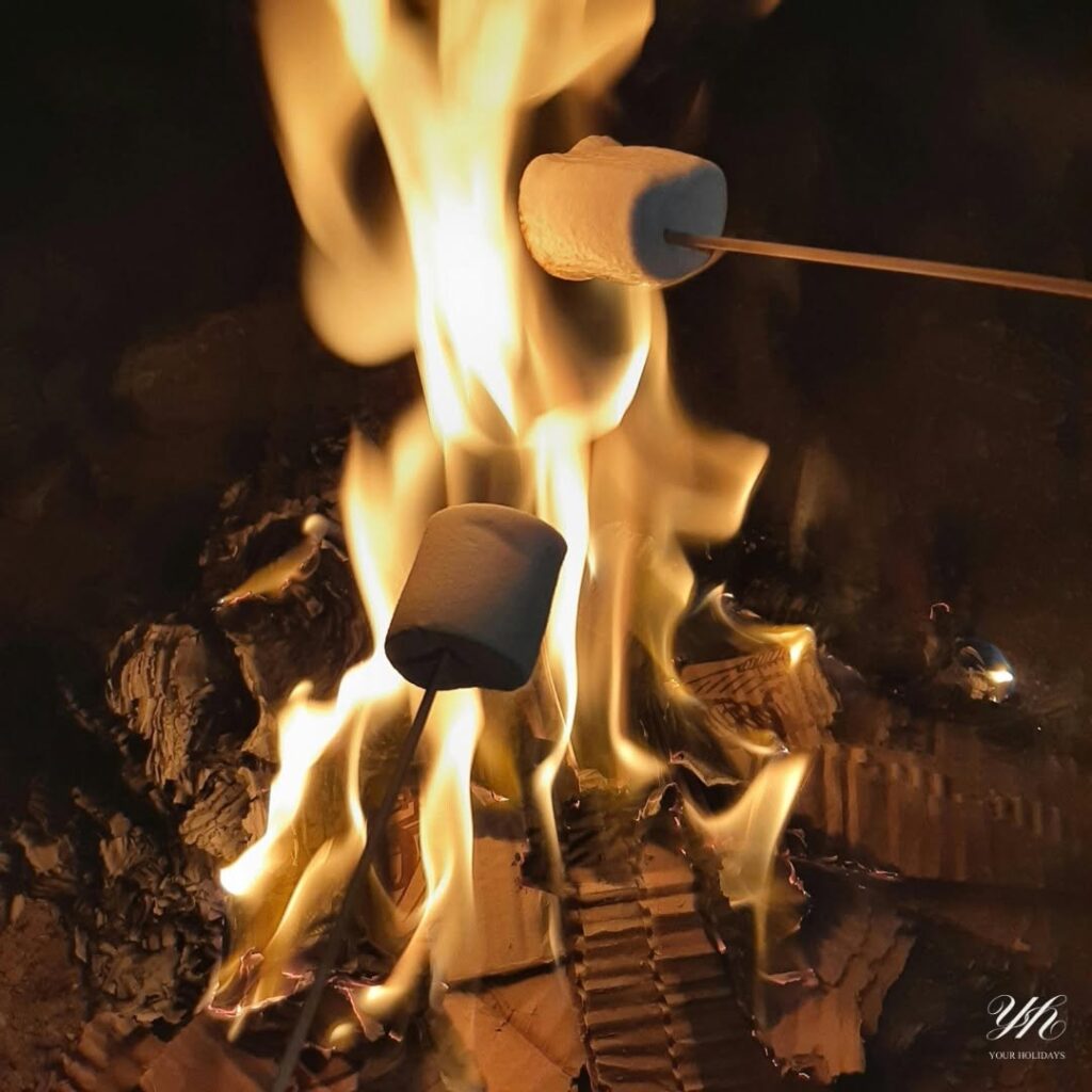 S’more: Wrapping up the year with a fireside treat 🪵🍢
